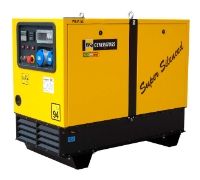  WFM Generators SE12000-DSE
