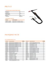 Сварог PRO TS 17 (160AC/DC) 4м