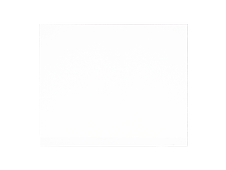 Сварог Пластина защитная поликарбонатная 106*88 (10 шт.)