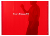 CEPRO Сварочная шторка Orange-CE 180х220см
