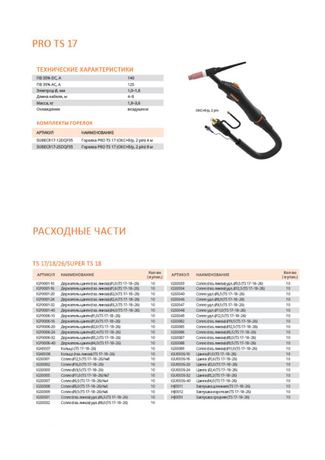 Сварог PRO TS 17 (160AC/DC) 4м Сварог PRO TS 17 (160AC/DC) 4м