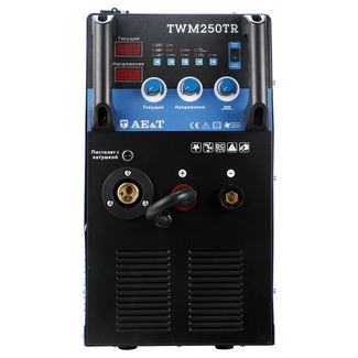 AE&T 250А/220В с тележкой TWM250TR AE&T 250А/220В с тележкой TWM250TR