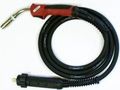 Aurora MIG 25 AIR COOL 230A(60%) EURO 4m