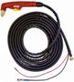 Aurora PLASMA PT50 (2pin, 3/8G) 6m