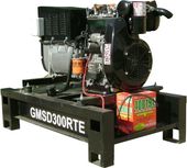  GMGen GMSD300RTE