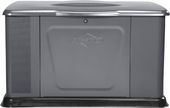Briggs & Stratton G110 (10kW)
