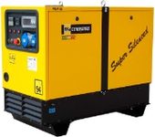  WFM Generators SE10000-DSE