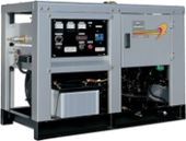  Yanmar YEG250NTHC