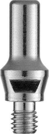 ПТК Катод BS IPT 60 ERU004 (10 шт.)