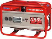 Endress ESE 1306 DSG-GT ES Duplex