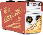 Торус 250