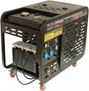 FoxWeld DW300