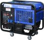 ТСС DGW-300E