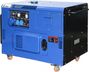 ТСС SDG 12000EHS в шумозащитном кожухе