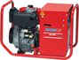 Endress ESE 604 YS ES Diesel