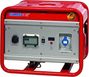 Endress ESE 306 SG-GT Duplex