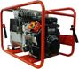Endress ESE 1006 SDBS-DC ES