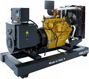 GMGen Power Systems GMJ275