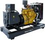 GMGen Power Systems GMJ300